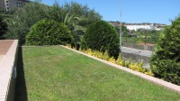 /album/galeria-de-fotos-manutencao-dos-jardins/img-3380-jpg/
