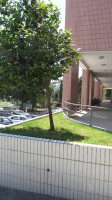 /album/galeria-de-fotos-manutencao-dos-jardins/img-3369-jpg/