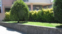 /album/galeria-de-fotos-manutencao-dos-jardins/img-3372-jpg/