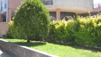 /album/galeria-de-fotos-manutencao-dos-jardins/img-3378-jpg/